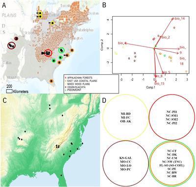 Metagenomic study reveals hidden relationships among fungal diversity, variation of plant disease, and genetic distance in Cornus florida (Cornaceae)